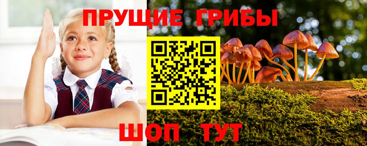 Псилоцибиновые грибы GOLDEN TEACHER Кировск